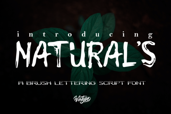 Natural s: A Display Font with Grit & Charm